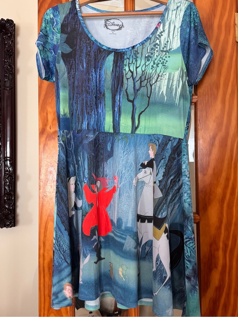 Disney x Hot Topic Sleeping Beauty Briar and Prince Philip Distressed Dress